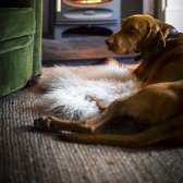 Klasyczny piec kominkowy o mocy 5kW Charnwood C-Five